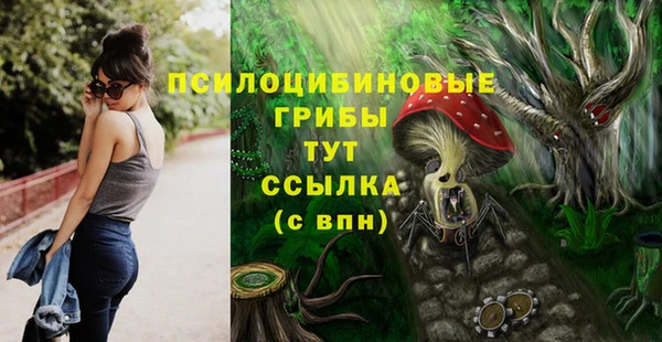гидра Арсеньев