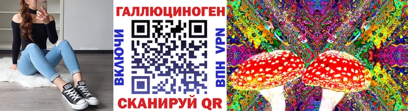 Галлюциногенные грибы Psilocybe  Лодейное Поле 